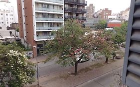 Olmos Flats II